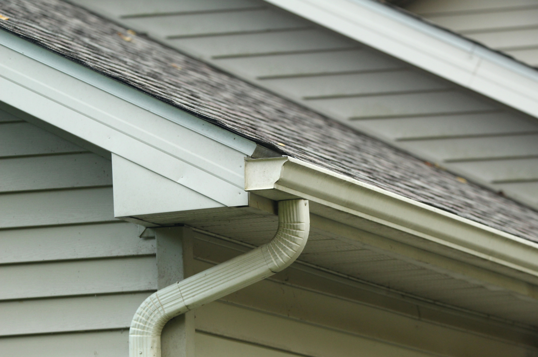 Soffit and Fascia Refresh and Painting 2