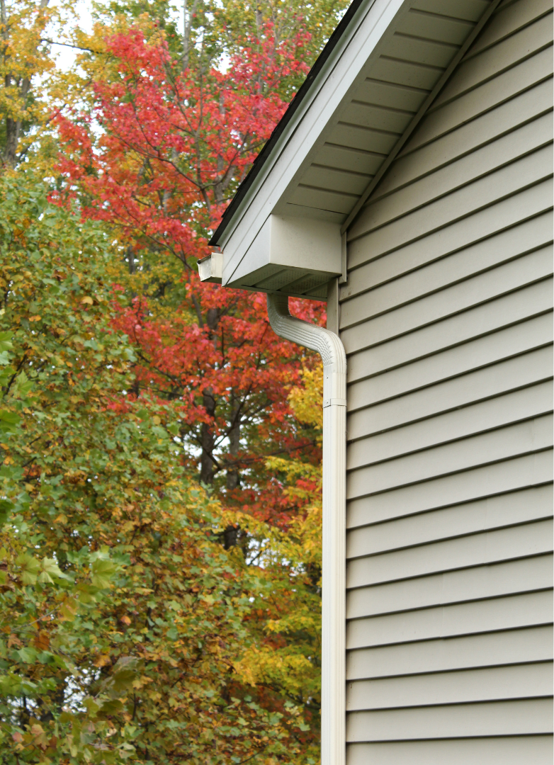 Soffit and Fascia Refresh and Painting 3